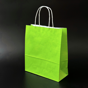 Пакет паперовий 20х8х24 см Салатовий з ручками 100 г/м BG-K100- 20х8х24-GR.GREEN фото